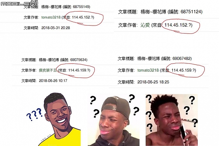 楊梅~櫻花博