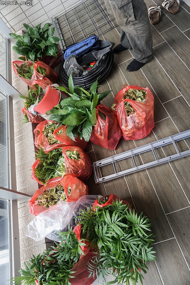 【開箱】陽台綠化第二彈,綠牆施工實訪