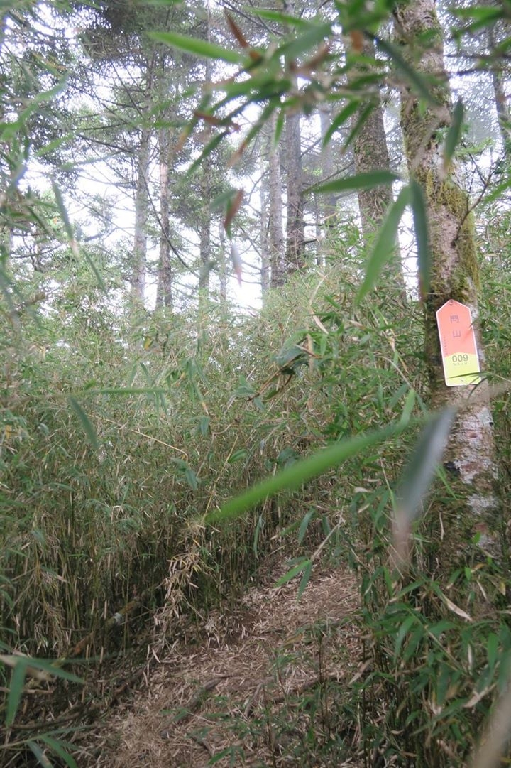 閂山、鈴鳴山二日行程記錄(2018/7/20~21)