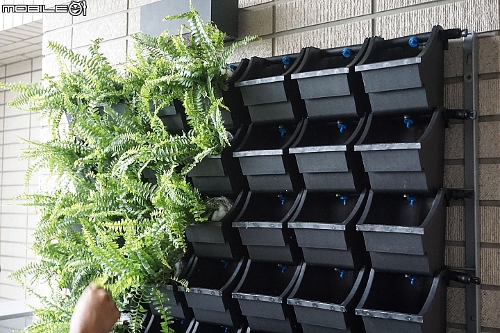 【開箱】陽台綠化第二彈,綠牆施工實訪