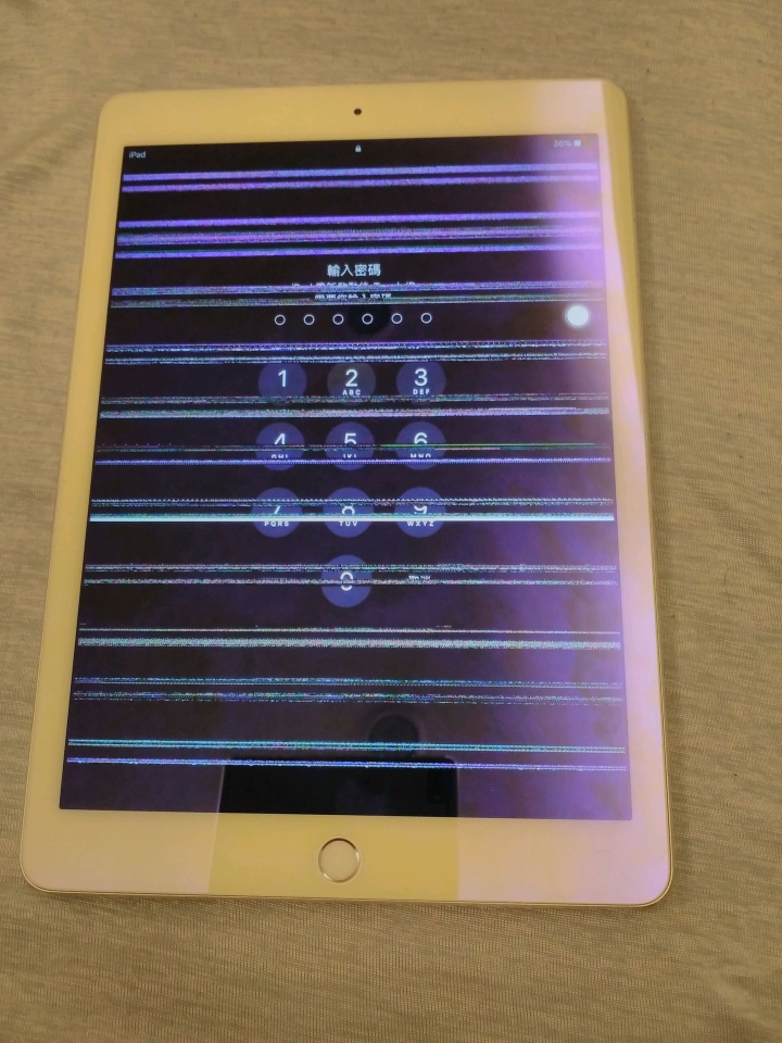 iPad Pro 9.7 當機&螢幕彩條