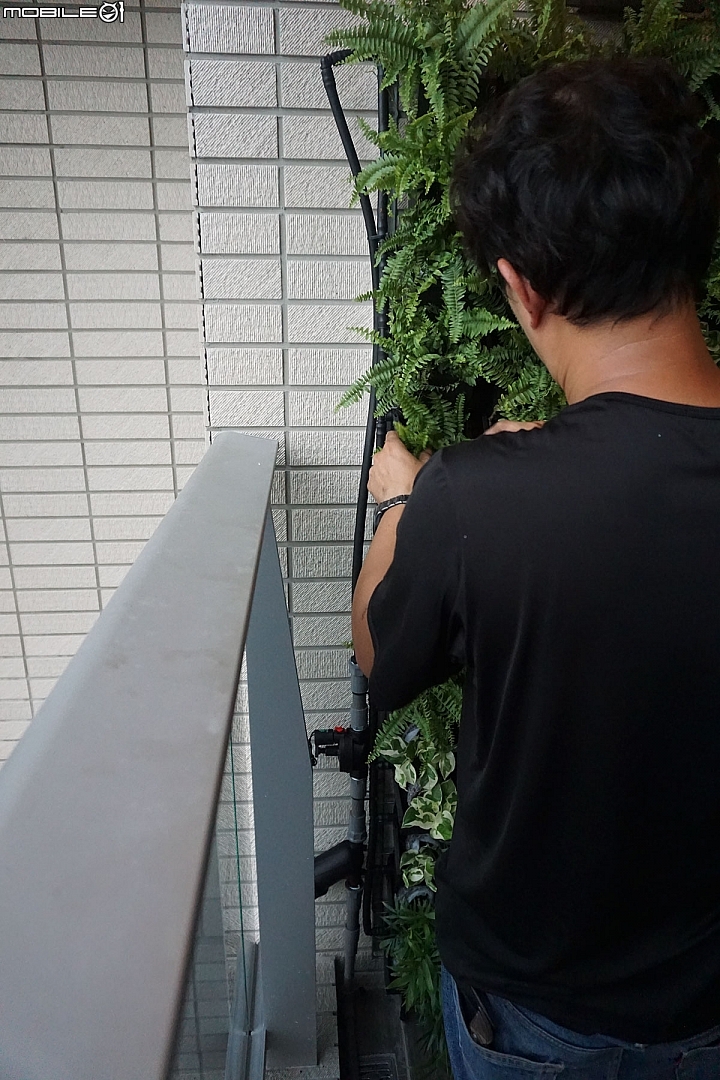 【開箱】陽台綠化第二彈,綠牆施工實訪