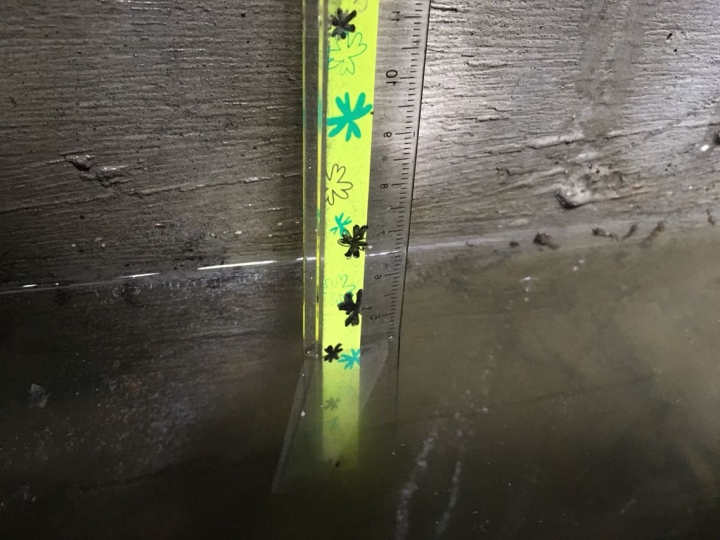 巷子內新的排水工程，變成積水的臭水溝，該怎麼辦？