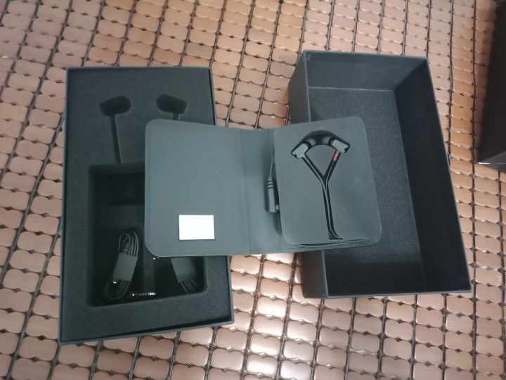 [平衡下的沈穩德國之聲] Sennheiser IE800S動圈之王