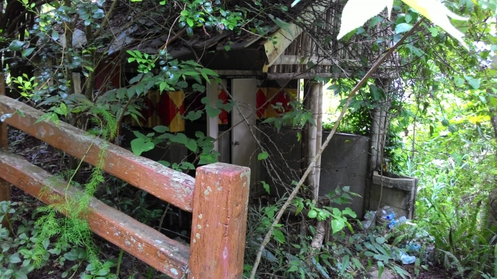 瀑布之旅(雙龍、臨29、龍鳳)