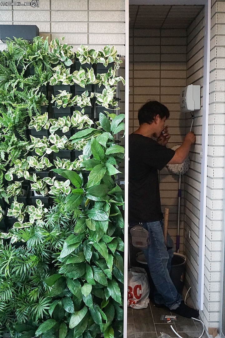 【開箱】陽台綠化第二彈,綠牆施工實訪