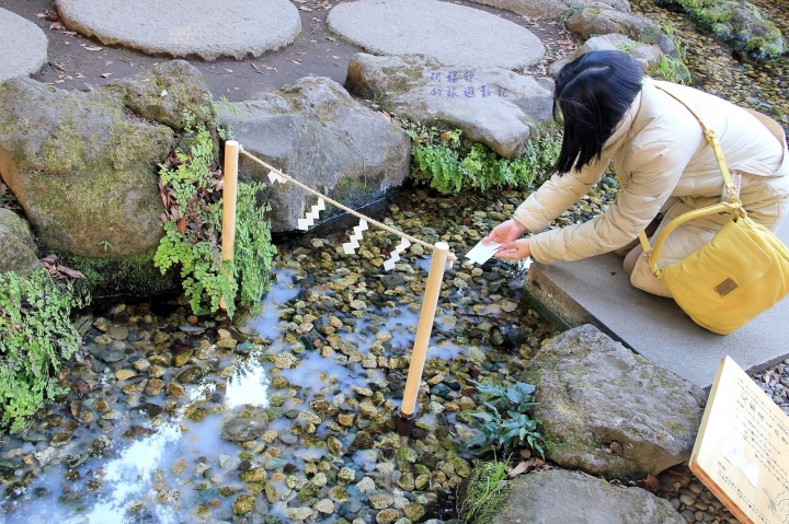 2016日本過新年十三日自助行 (十三)川越小江戶(二百年鰻魚飯小川菊、冰川神社、江戶一番通、川越城本丸御殿 )