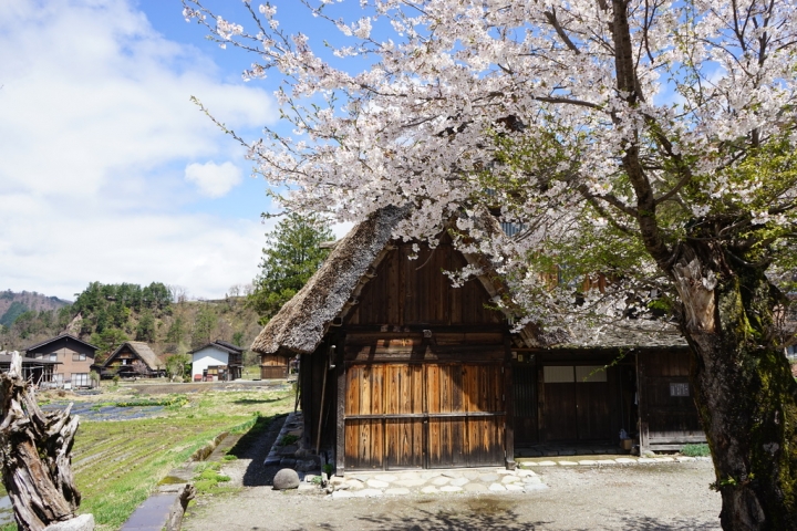 [遊記] 來去合掌村住一晚