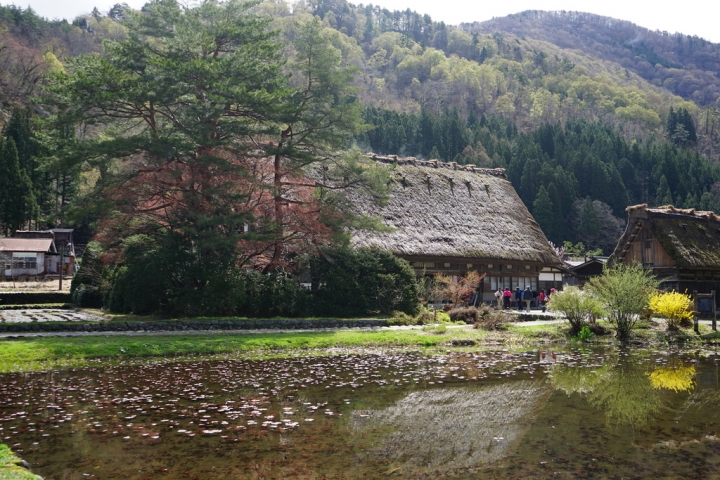 [遊記] 來去合掌村住一晚