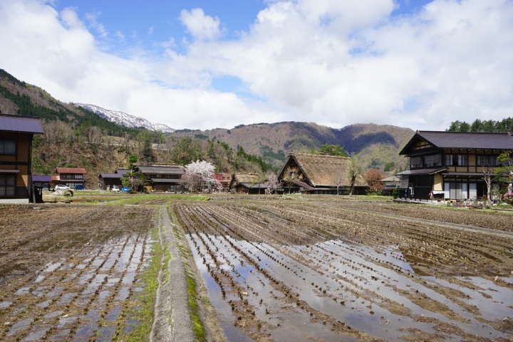 [遊記] 來去合掌村住一晚