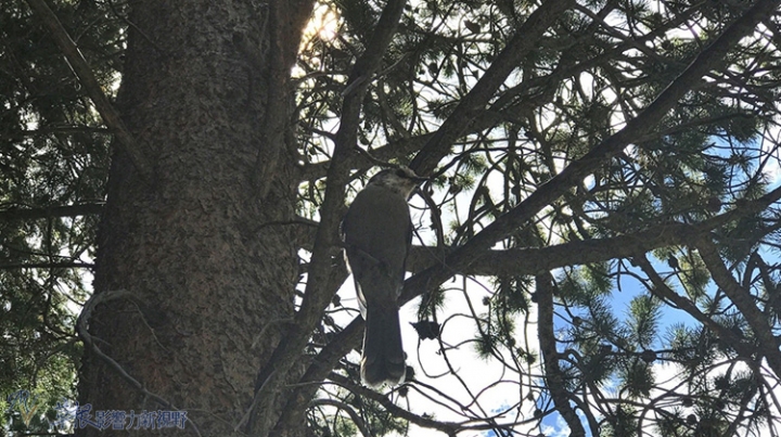 美國洛磯山國家公園山中之湖