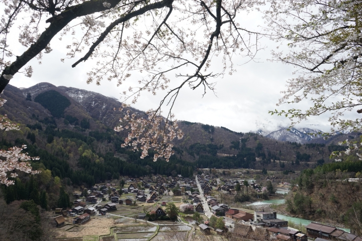 [遊記] 來去合掌村住一晚