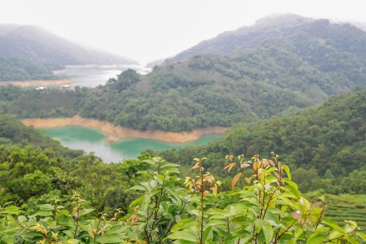 【新北石碇 | 景點】流淌在重重山巒間的一泓碧綠✲千島湖