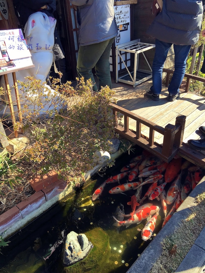 2016日本過新年十三日自助行 (十三)川越小江戶(二百年鰻魚飯小川菊、冰川神社、江戶一番通、川越城本丸御殿 )