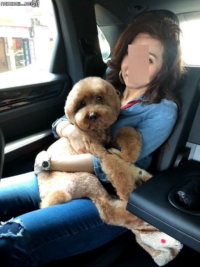 Van Cleef & Arpels手錶禮物送老婆