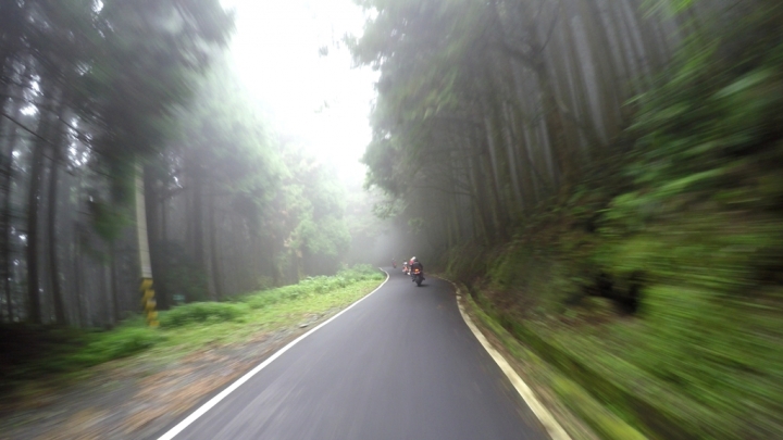 ［遊記］觀霧之旅兼擔任車隊一日壓隊官心得