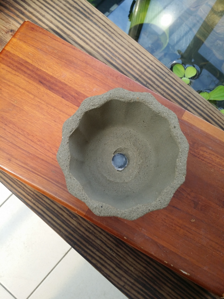 園藝新手DIY小花圃