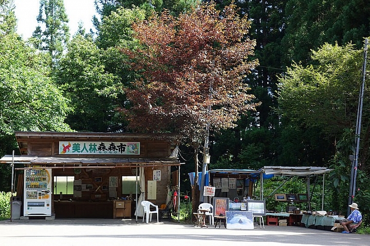 【新潟縣】口耳相傳的攝影聖地美人林