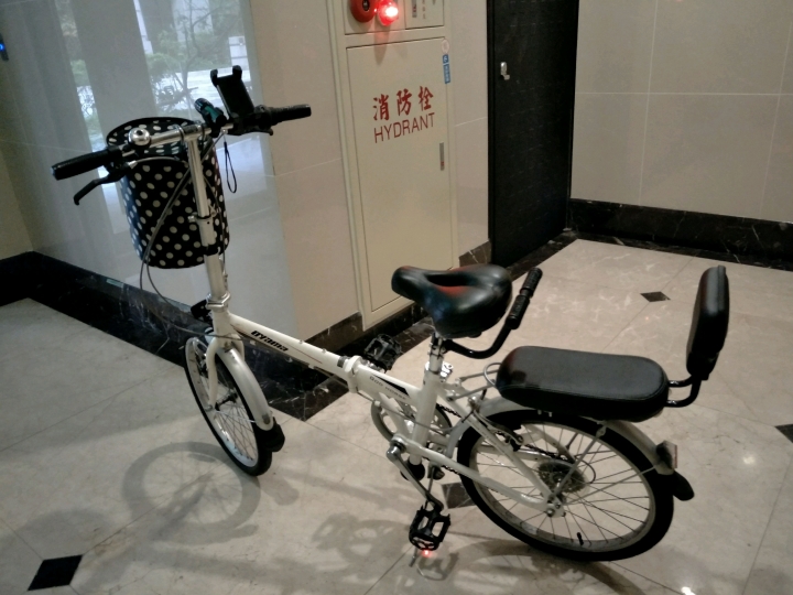 請推薦20吋有後貨架的小折，感謝！