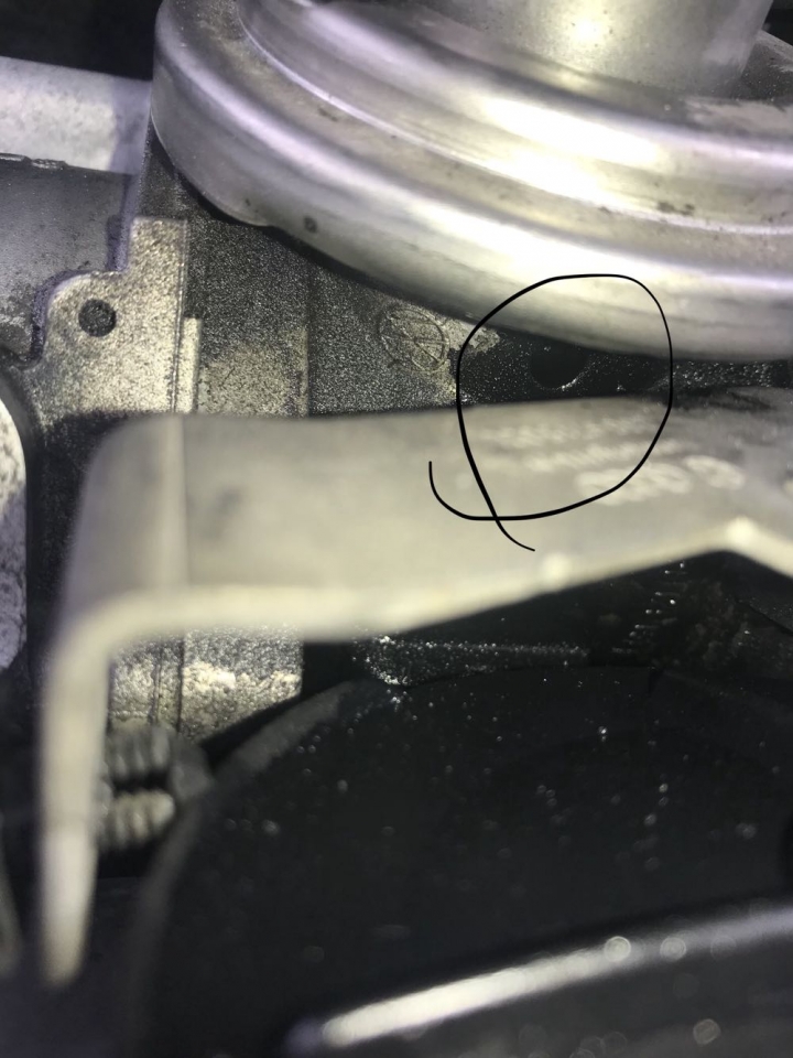 golf mk5 最近發現油漬的情況