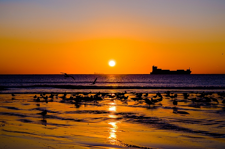 [A7II]漫遊伊比利半島- Portugal +España