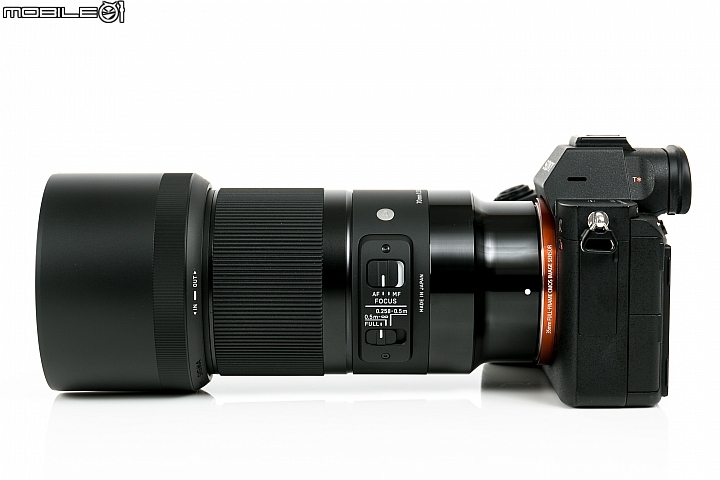 Sigma 70mm f/2.8 DG Macro Art 評測報告｜FE-Mount 微距新星「利」到沒朋友！