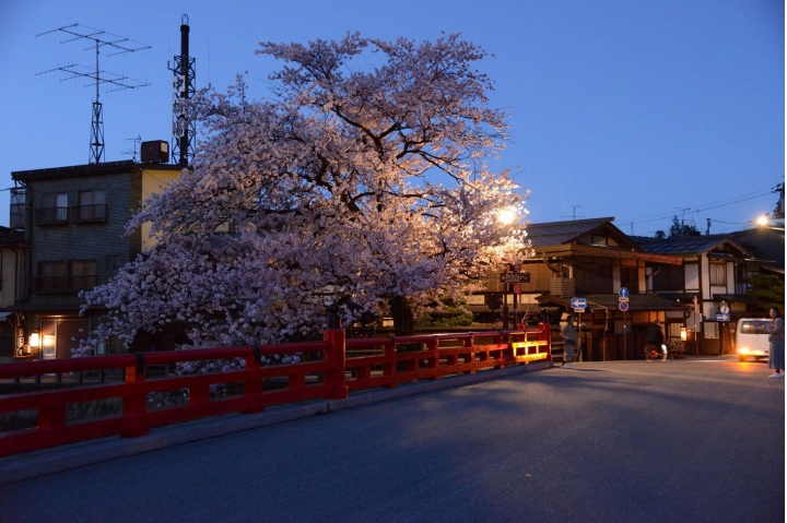 日本 高山 樱花 盛开 d800
