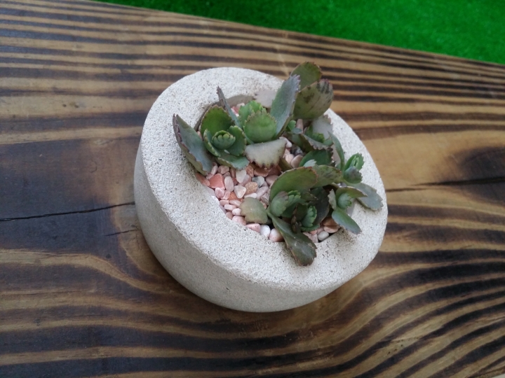 園藝新手DIY小花圃
