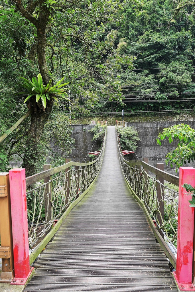 【新北三峽 | 餐廳】充滿雅致的山居美味▹正德居