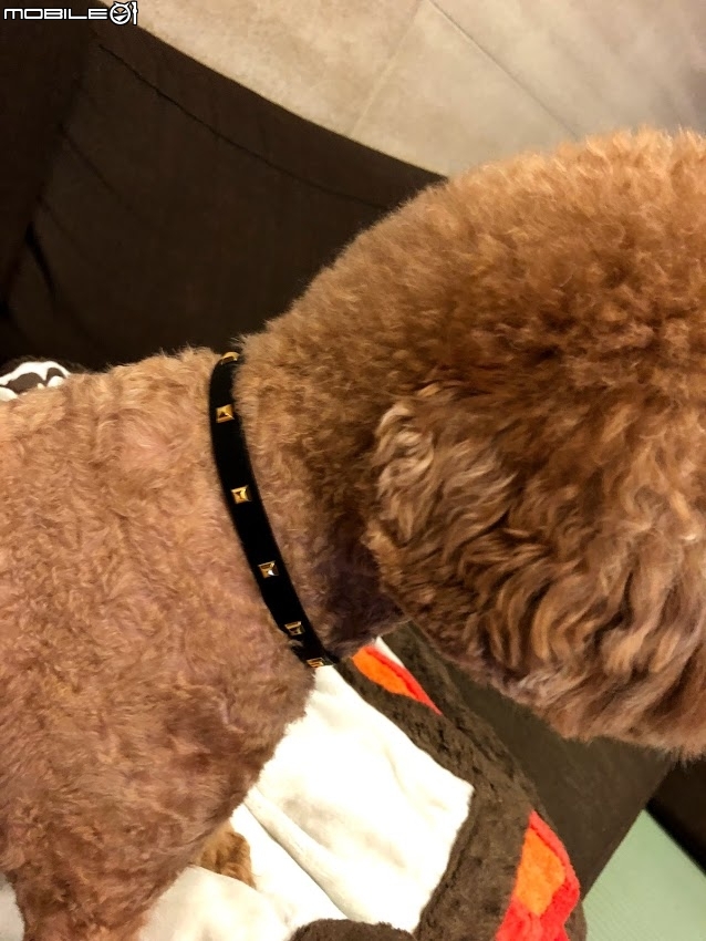 Van Cleef & Arpels手錶禮物送老婆