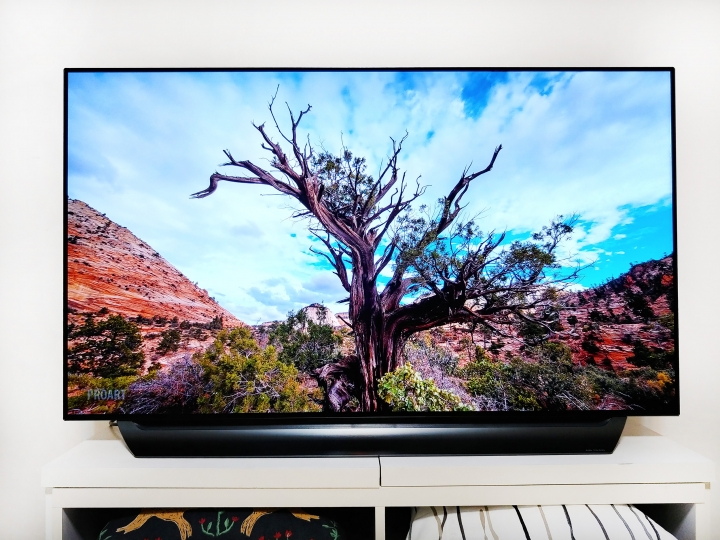 單身首選！LG OLED C8開箱