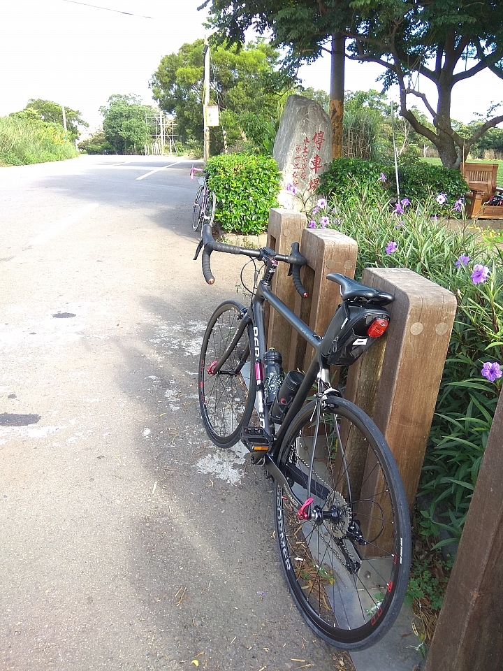 [分享]Performer SAKii 碳纖維公路車