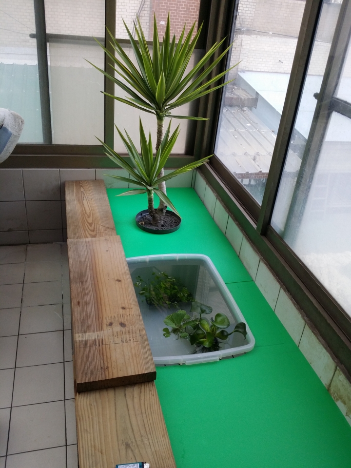 園藝新手DIY小花圃