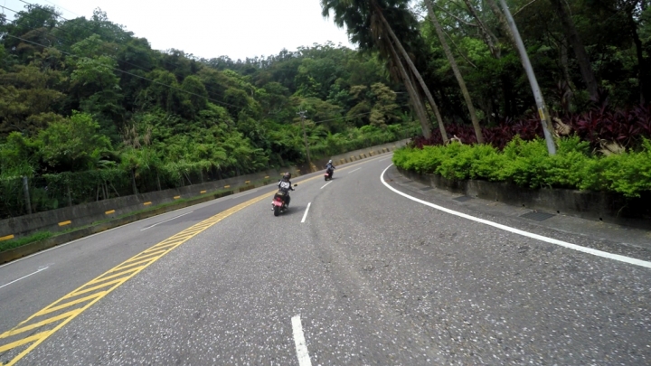 ［遊記］觀霧之旅兼擔任車隊一日壓隊官心得