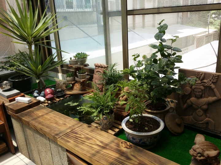 園藝新手DIY小花圃