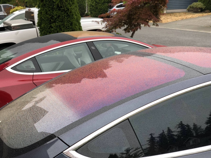 《Model 3》玻璃車頂可能無彩色效果