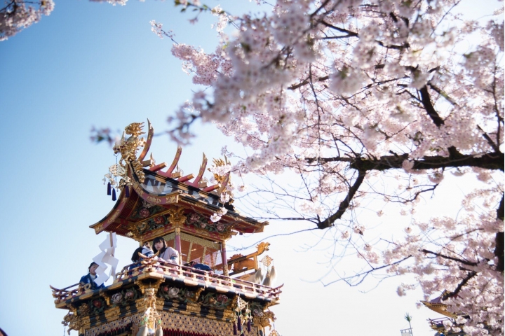 日本 高山 樱花 盛开 d800