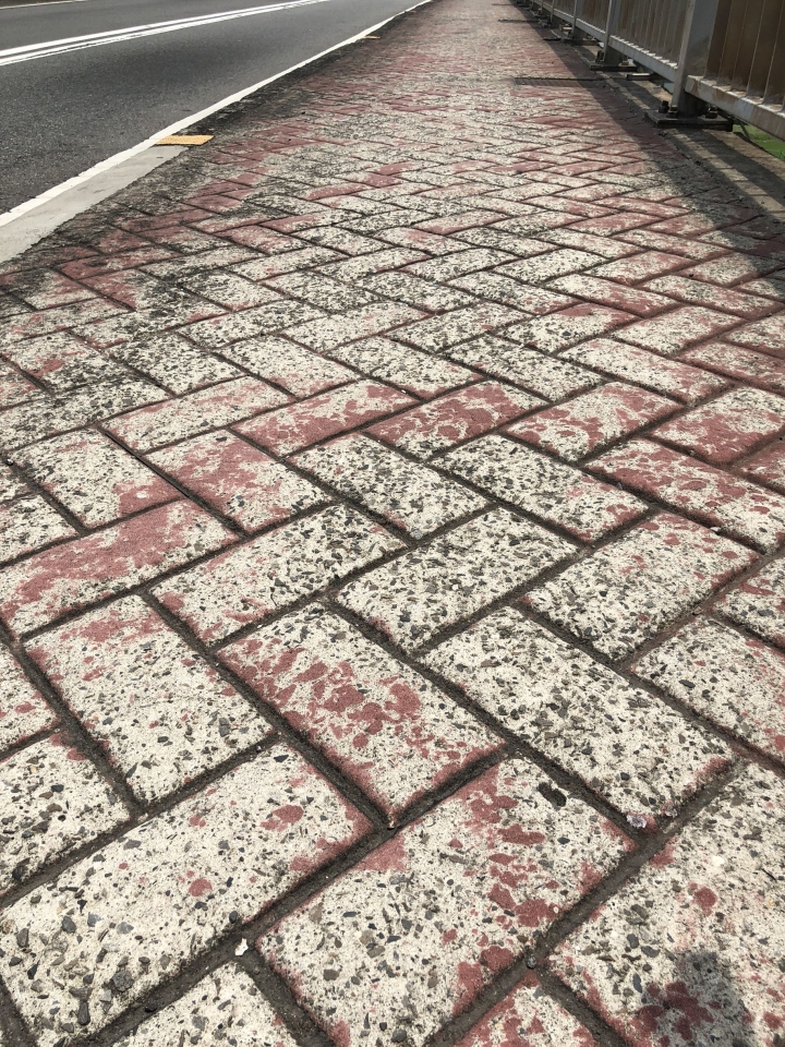 重陽橋道不知道是屬於那個單位負責規劃、自行車道很糟