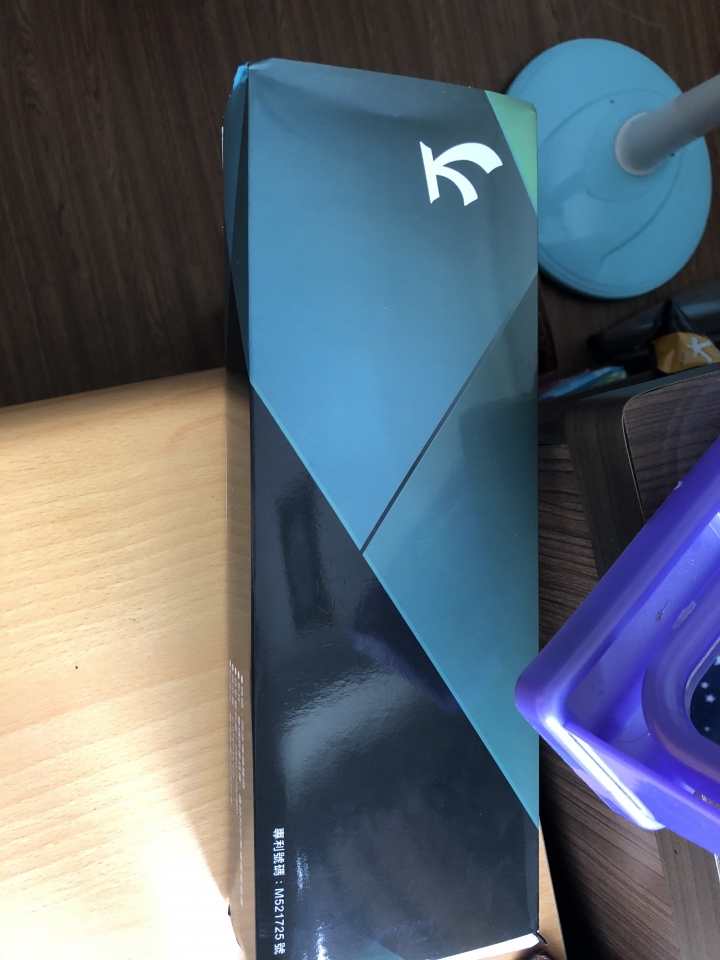 傻眼的行車記錄器