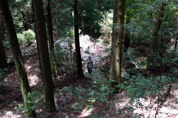 苗栗泰安觀霧山莊之榛山一日遊