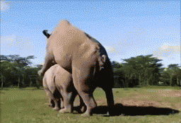 五生六畜聽令～～～～～今天開始『立秋』！！！