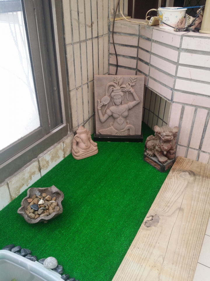 園藝新手DIY小花圃