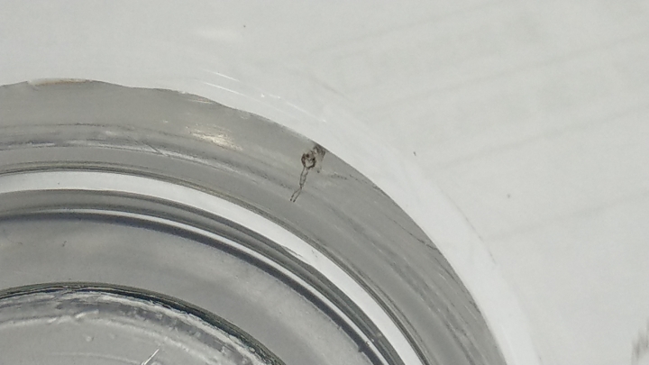 魚缸問題請教