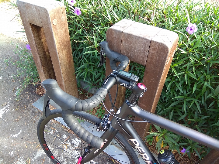 [分享]Performer SAKii 碳纖維公路車