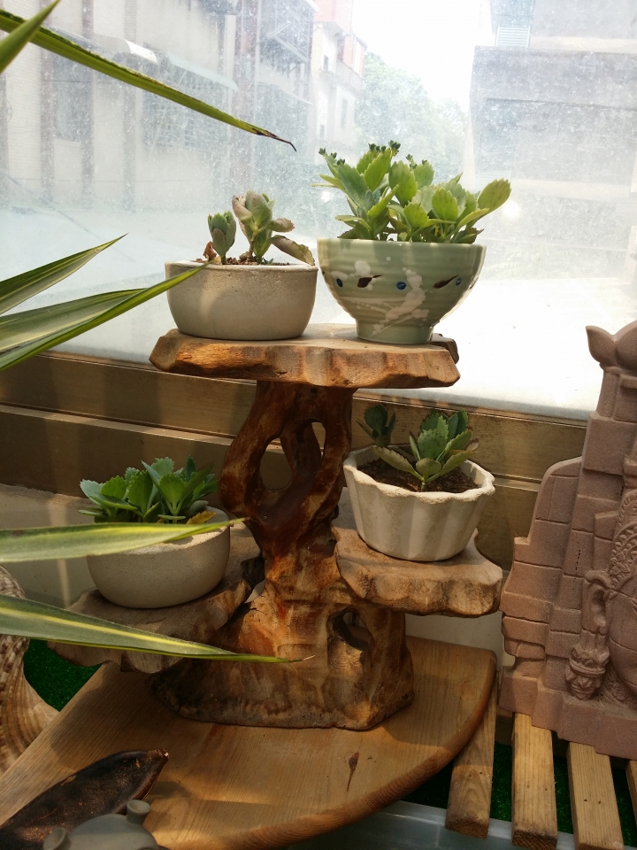 園藝新手DIY小花圃