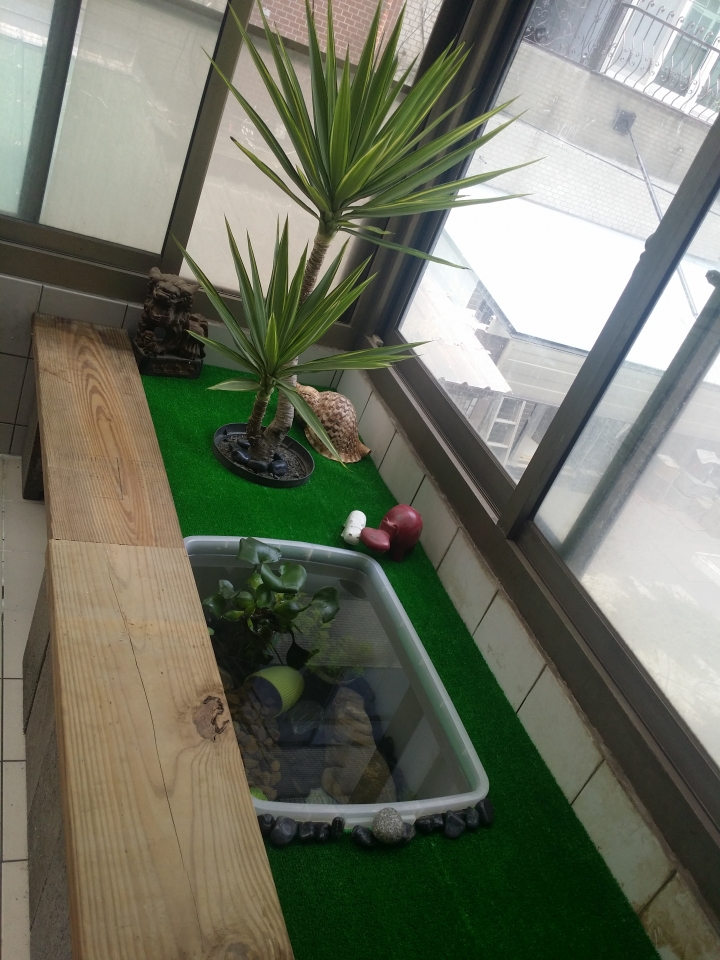 園藝新手DIY小花圃