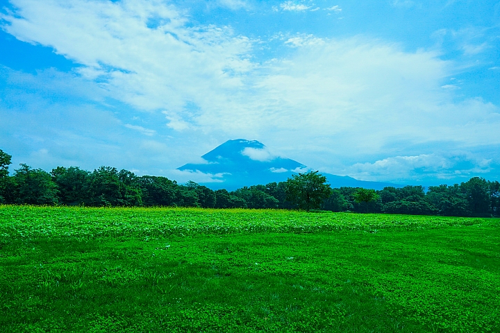 北海道自駕遊
