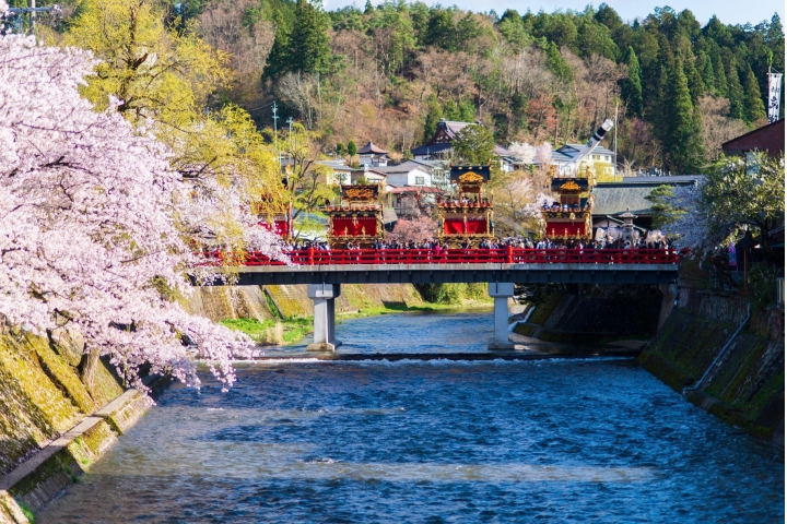 日本 高山 樱花 盛开 d800