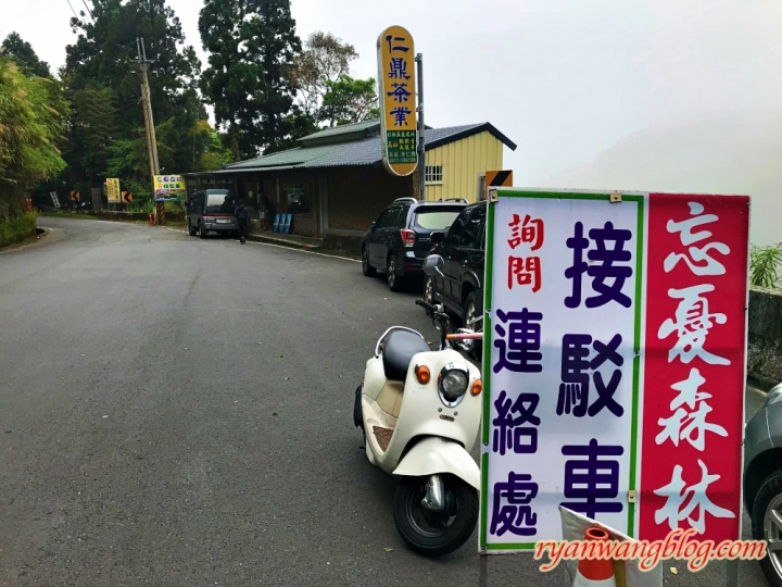 忘憂森林—南投旅遊景點,杉林溪的奇幻仙境之旅