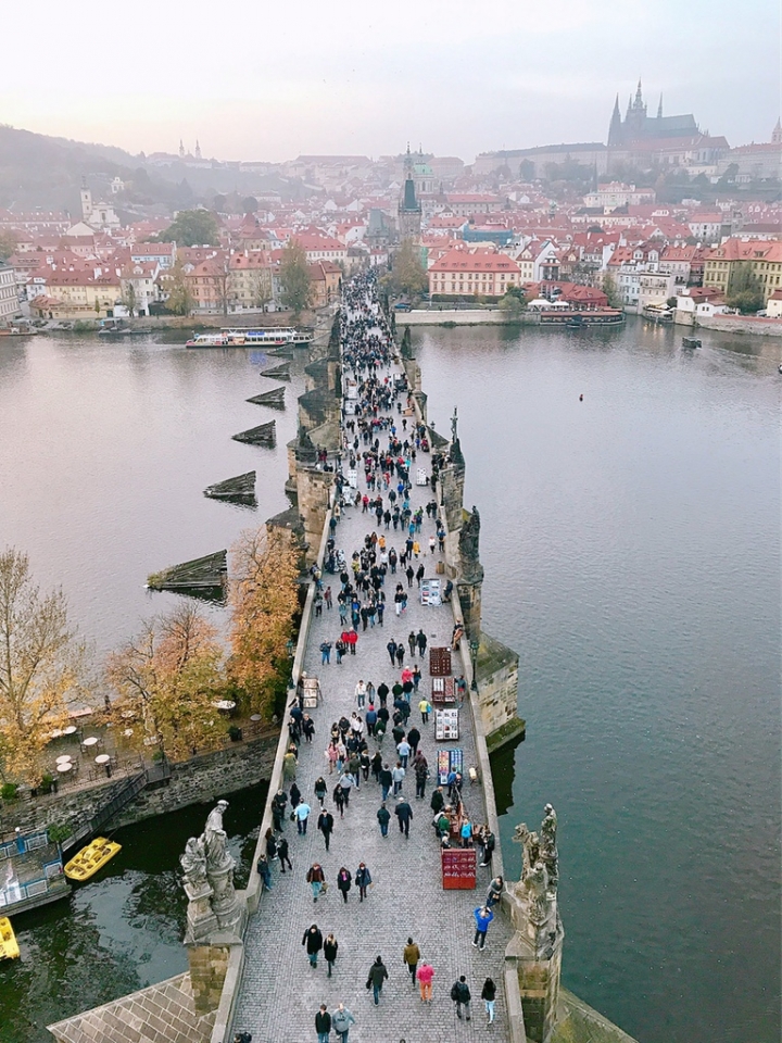 【Czech．走跳】在查理大橋聽雕像說故事&登舊城塔橋看美麗金色布拉格